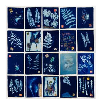 series of solar prints