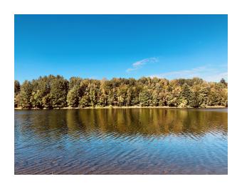 photo of trees and a lake in fall