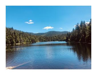 photo of lake and trees at Sterling Pond